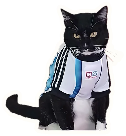 Gato negro con camiseta de Argentina asomándose