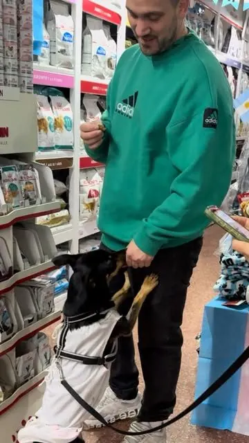 Perro recibiendo un snack en el local
